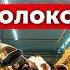 МИЛЛИОНЫ на козьем молоке и сыре Бизнес в деревне