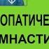 Остеопатическая гимнастика для шеи на каждый день правка атланта Вся гимнастика 3 минуты