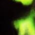 SEEMEE BUSHIDO ZHO DUMB БЕЗ МАТА