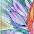 Winx Club World Of Winx Die Dreamix Verwandlung