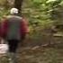 В лесу росли грибочки Mushrooms Grew In The Wood