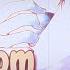 Kiss From A Rose But It GOES HARD Nightcore ROCK VERSION 𝙉𝙑