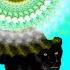 Shamanic Journey Of Spheres Shamanic Journey Spheres Meditation Jaguar