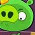 Bad Piggies Shorts King Pig In A Nutshell