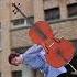 Cello Classicmusic Cellist Orchestra Music жиза оркестр Musician