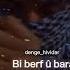 şevekî Tarî
