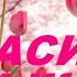 Мелодии для саксофона Природа и Музыка Beautiful Music