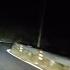 Tiger Or Leopard Crossing On Night Drive To Nainital Himalayas