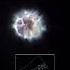 Sirius The Brightest Star In The Night Sky