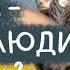 ПОЧЕМУ КОТ ССЫТ НА КРОВАТЬ Как понять свою кошку