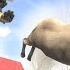 Run Away From Furious Beasts Animal Revolt Battle Simulator