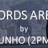What Words Are Needed 어떤 말이 필요하니 By Junho이준호 JUST BETWEEN LOVERS OST 그냥 사랑하는 사이 HAN ROM ENG Lyrics