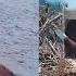 Just For Laughs Gags Epic Fails That Will Leave You In Stitches Funny Videos Funtush
