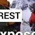 As Ice Melts Everest S Death Zone Gives Up Its Ghosts FRANCE 24 English