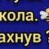 анекдоты про ДАИ юмор анекдоты про Вовочку анекдоты про медсестру анекдоты новые анекдоты Humor