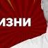 Путин стал угрозой жизни на Земле Яковина