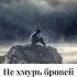 Не хмурь бровей из за ударов рока омархайям цитаты лайкцитаты цитатадня