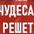 Чудеса в решете Атеистический дайджест 465