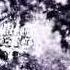 The Inevitable End Woods Of Desolation Tribute