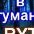 Ёжик в тумане RYТР