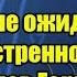 Такого не ожидали Лавров экстренно выгнал всех послов Германии из России игры окончены