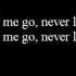 Florence The Machine Never Let Me Go LYRICS