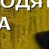 Часть 6 повести Когда происходят чудеса Христианские рассказы