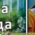 НЕ ПОКУПАЙ ЗАТЕНЯЙКУ сначала посмотри это видео