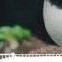 Stomp And Claps 19703057 Nocopyrightmusic