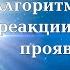 Правильная реакция на внешнее проявление зла Правила игры мироздания