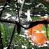 Surreal To See Tropicana Field Roof Shredded By Hurricane Milton