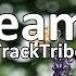 Dream It TrackTribe Copyright FREE MUSIC