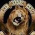 Metro Goldwyn Mayer 2021 Closing