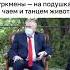 туркмен чилл отдых флекс подушки чай танцы дискотека алабай азия мемы шутка