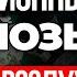 Автоследование Сигналы 100 КАК инвестора ОБМАНЫВАЮТ на фондовом рынке