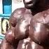 The Art Of Getting BIG BICEPS Crazy Rant Kali Muscle