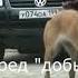 Охрана вещи Общий ликбез