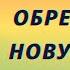 Песня Галина обрела свою новую жизнь Гармонь в руках маэстро творит чудеса Пассажирам повезло