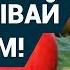 Не откладывай на потом Живи сейчас Притча про своевременность