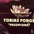 Tobias Forge The Breeze