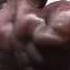 Бодибилдинг мотивация Майк Рашид Метрофлекс Bodybuilding Motivation Mike Rashid Metroflex