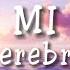 Serebro Mi Mi Mi Lyrics Video