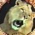 Metro Goldwyn Mayer 1991