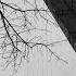 FREE Rap Instrumental Boom Bap Style Seemee Type Beat