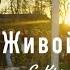 Наталья Гулькина о женском счастье карьере и правде жизни Дискотека 90 х