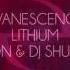 Evanescence Lithium DJ Oneon DJ Shulis Remix