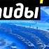 Несколько человек были в городе под льдами Антарктиды вот что они рассказали