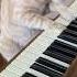 Cat Plays Piano Cats Piano