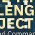 The Apache Tika AIxCC Semifinal Challenge Project