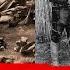 Хотите как в России Ближнее зарубежье в 1905 году Глеб Таргонский и Вячеслав Шитов
